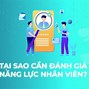 Bài Đánh Giá Về Điện Lực Tháp Mười