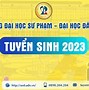 Các Ngành Đại Học Sư Phạm Đà Nẵng 2024