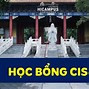 Các Trường Có Học Bổng Cis Loại B 2023 Cair Forte Test Results