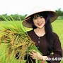 Hưng Đạo Tứ Kỳ Hải Dương